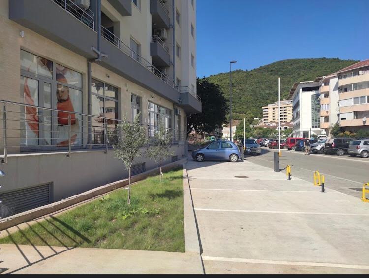 Daire Sanja Budva